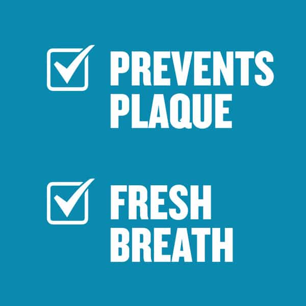 Listerine Fresh Burst Mouthwash Bottle Of 250 Ml