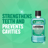 Listerine Fresh Burst Mouthwash Bottle Of 250 Ml