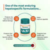 Himalaya Liv.52 | Tablets | 100 No's