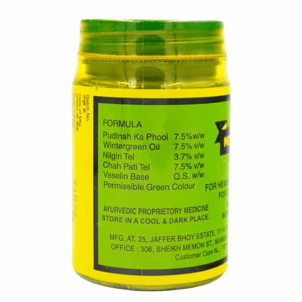 Monison's Pain Balm 100 Gm