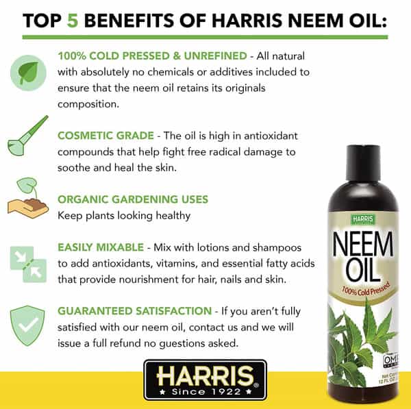 Neem Oil 100Ml