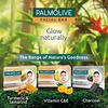 Palmolive Skin Therapy Facial Bar 75Gm