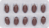 Rejunex Strip Of 10 Capsules