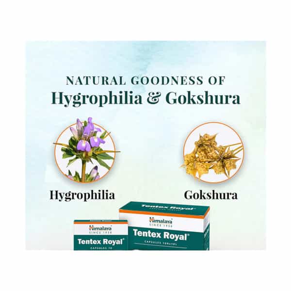 Himalaya Tentex Royal | Capsules | 10 No's