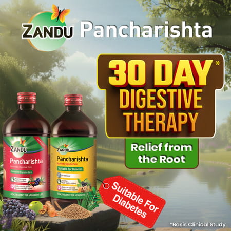 Zandu Pancharishta Ayurvedic Digestive Tonic | 450ml