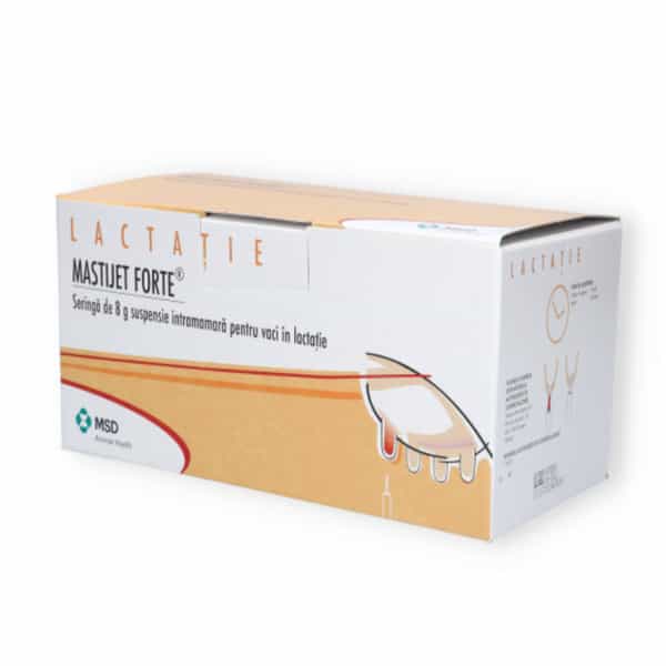 Mastijet Forte Syringe