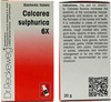 Calcarea Sulphurica 6X 20Gm