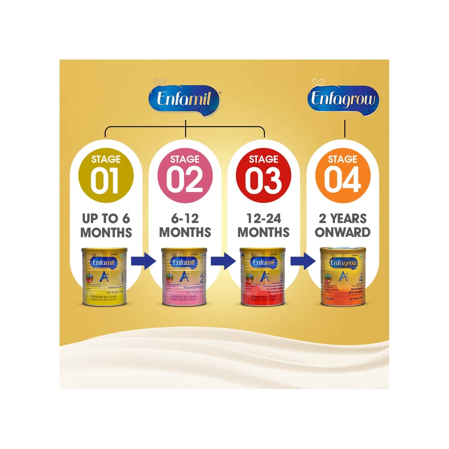 Buy ENFAMIL A+ BABY FOOD STAGE 3 INFANT FOLLOW-UP FORMULA (12 TO 24
