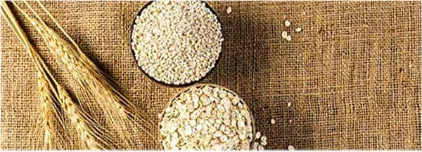 Pearl Barley Granules 100Gm