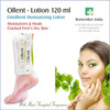 Ollent Lotion