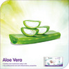 Himalaya Baby Gentle Baby Wipes 12'S