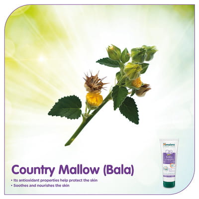 View product image 5