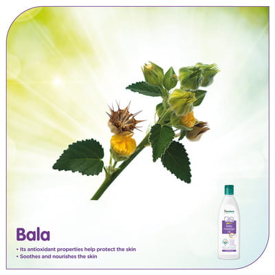 View product image 6