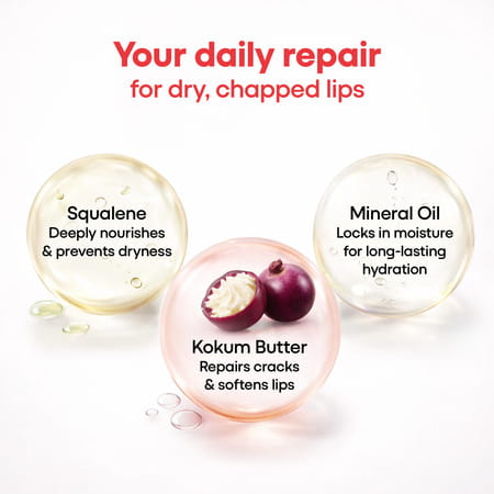 Lipz Moisturizer Spf15 Cream 9gm