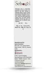 Buy SEBOGEL SALICYLIC ACID & NICOTINAMIDE GEL FOR PIMPLES AND OILY SKIN ...