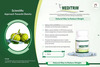 Meditrim Capsules
