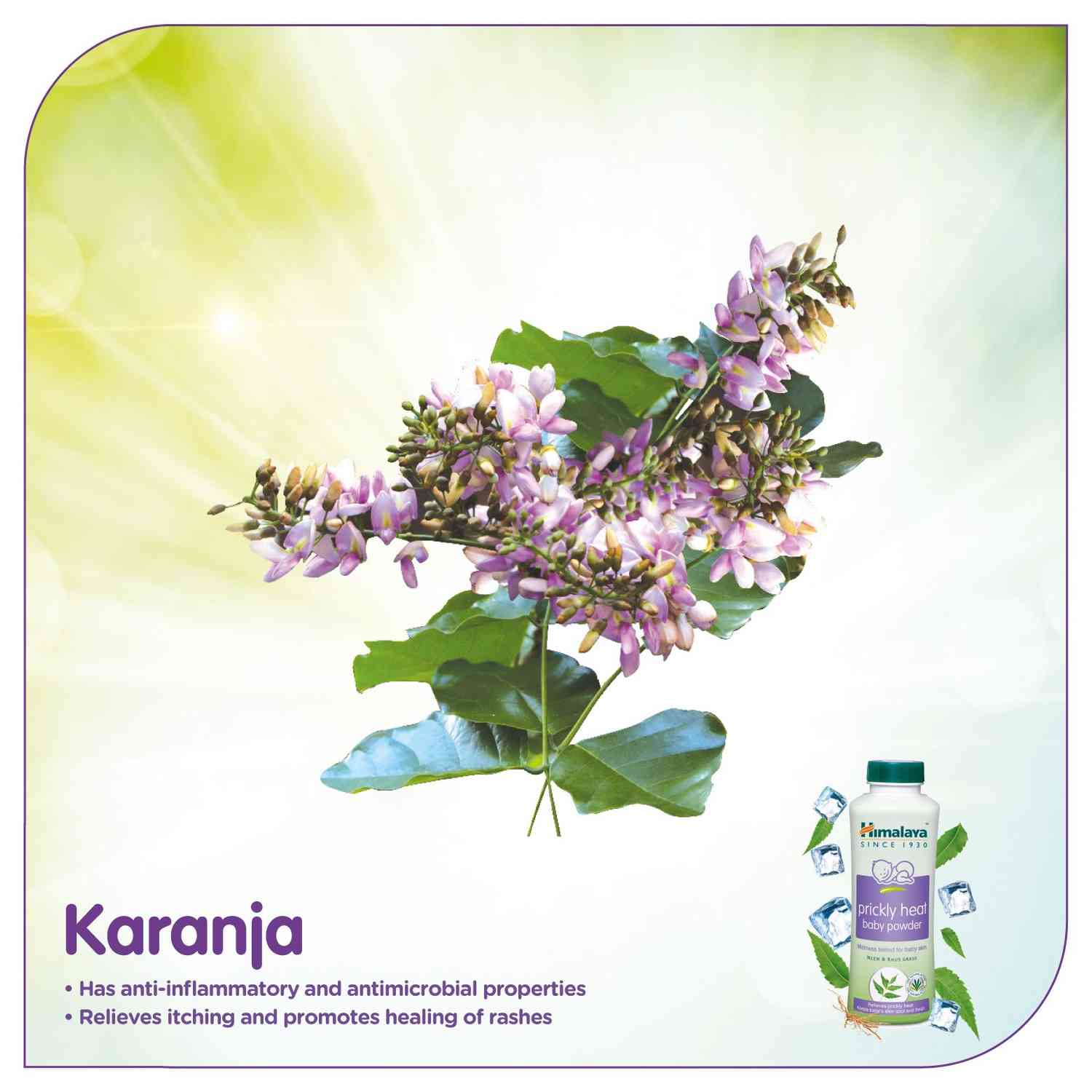 himalaya heat powder