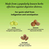 Baidyanath Triphala Churna 100 Gm