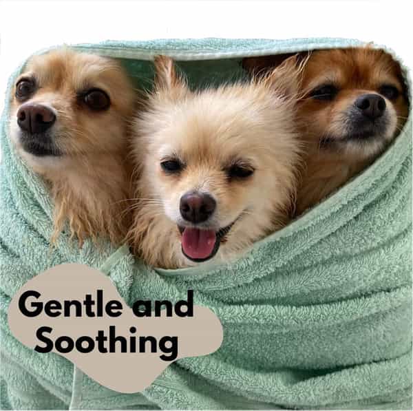 Pet Bar Soap