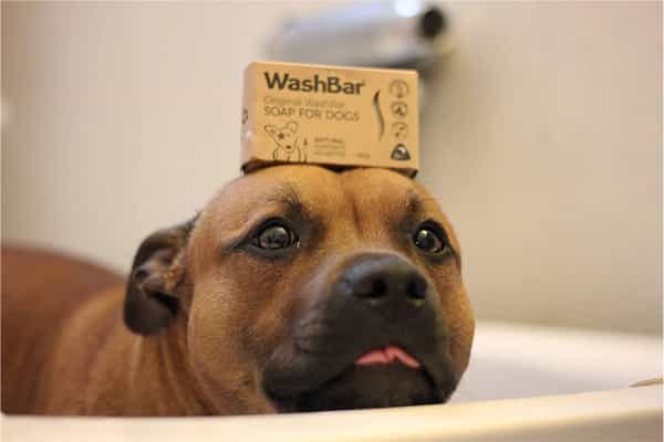 Pet Bar Soap