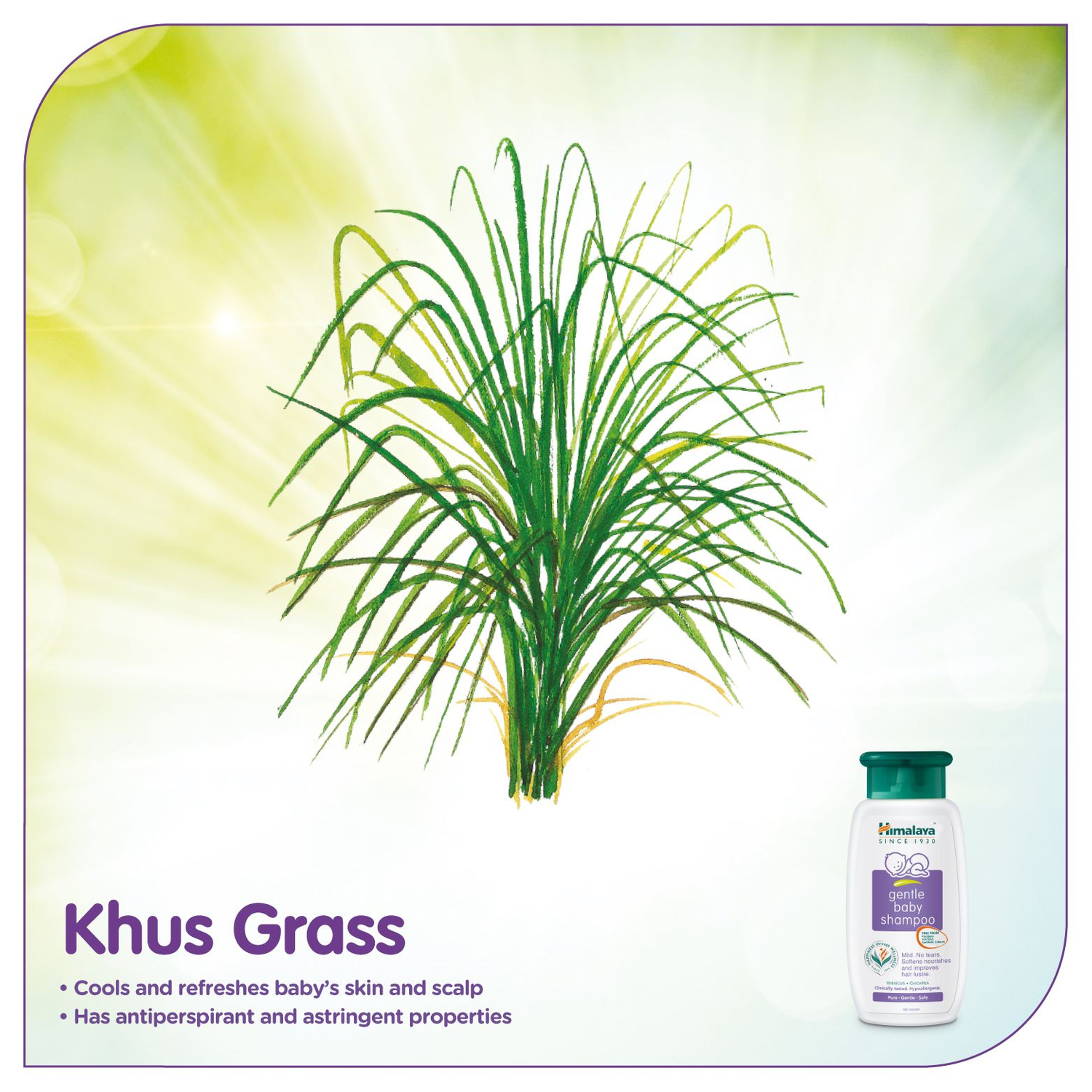 Buy Himalaya Gentle Baby Shampoo Bottle Of 400 Ml Online at Flat 18