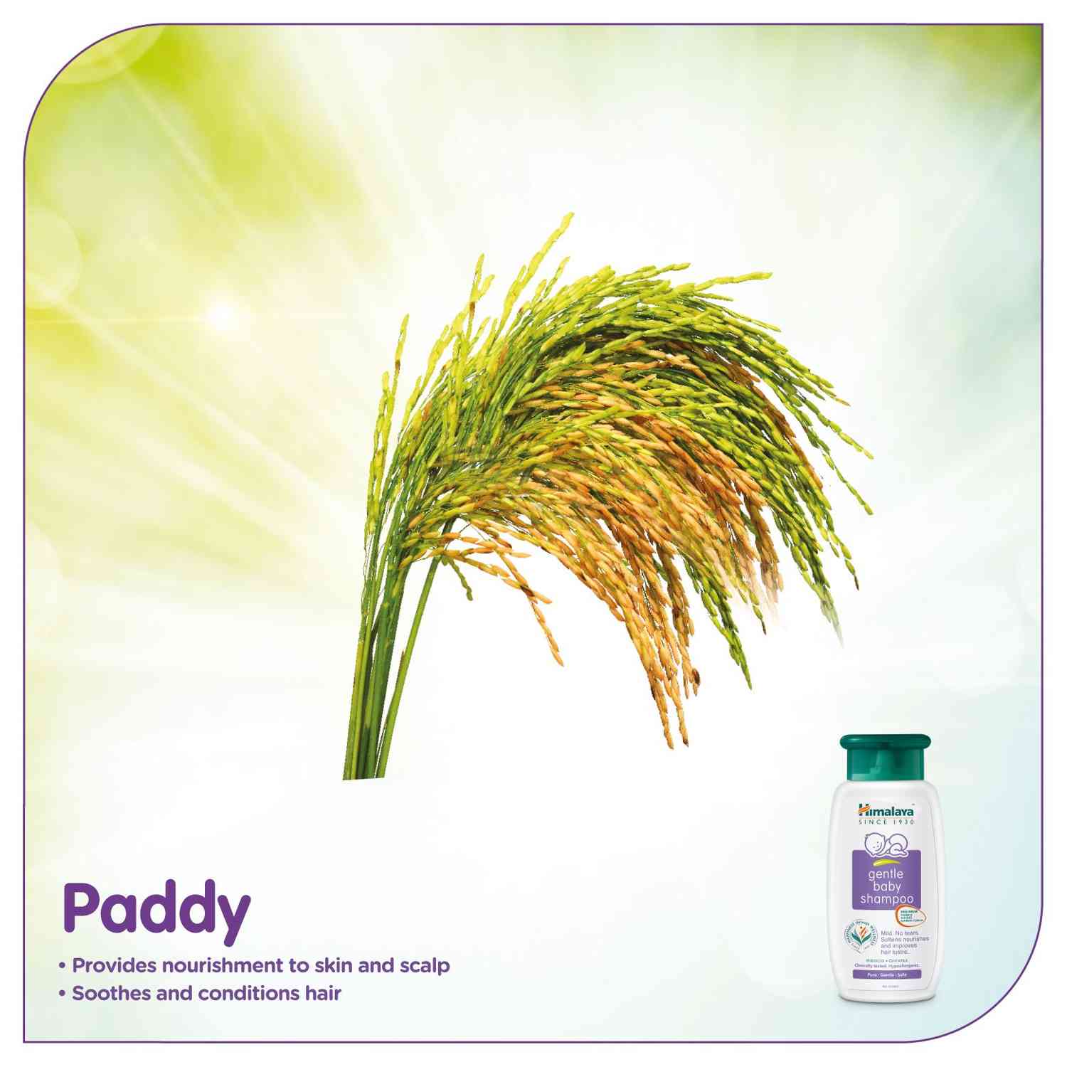 Buy Himalaya Gentle Baby Shampoo Bottle Of 400 Ml Online at Flat 18