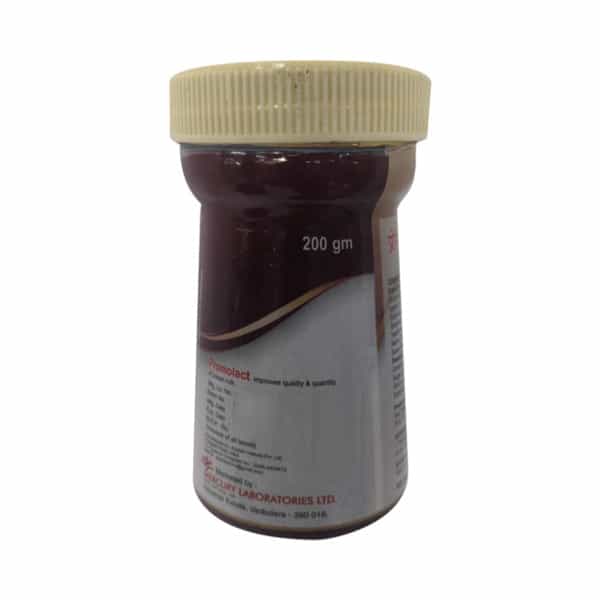 Promolact Chocolate Flavour Granules Jar 200 Gm