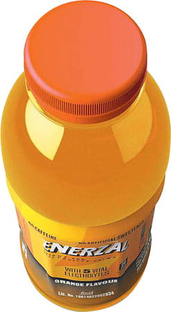 Enerzal Pet Orange Liquid 500Ml