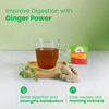 Organic India Tulsi Ginger Tea Bag 25'S
