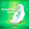 Whisper Ultra Clean 8`S