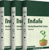Indalo Herbal Based Hair Colour Chestnut No Ammonia 100Gm With Amla And Brahmi ( Pack Of 3 )