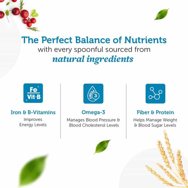 Neuherbs Omega Steel Cut Oats 400G Box