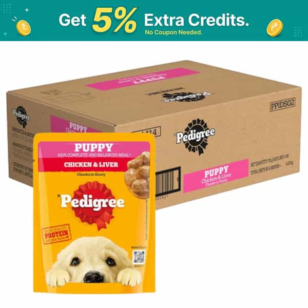 Pedigree Puppy Wet Dog Food | Chicken Chunks In Gravy | 70 G (Pack Of 90)