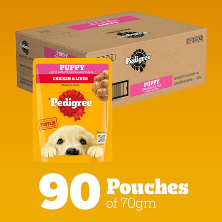 Pedigree Puppy Wet Dog Food | Chicken Chunks In Gravy | 70 G (Pack Of 90)