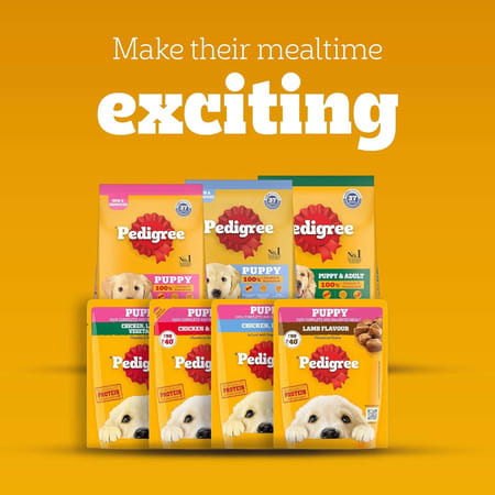 Pedigree Puppy Wet Dog Food | Chicken Chunks In Gravy | 70 G (Pack Of 90)