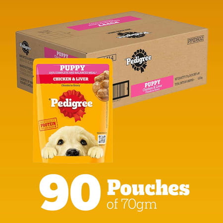 Pedigree Puppy Wet Dog Food | Chicken Chunks In Gravy | 70 G (Pack Of 90)