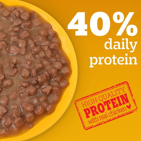 Pedigree Puppy Wet Dog Food | Chicken Chunks In Gravy | 70 G (Pack Of 90)