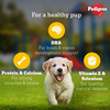Pedigree Puppy Wet Dog Food | Chicken Chunks In Gravy | 70 G (Pack Of 90)