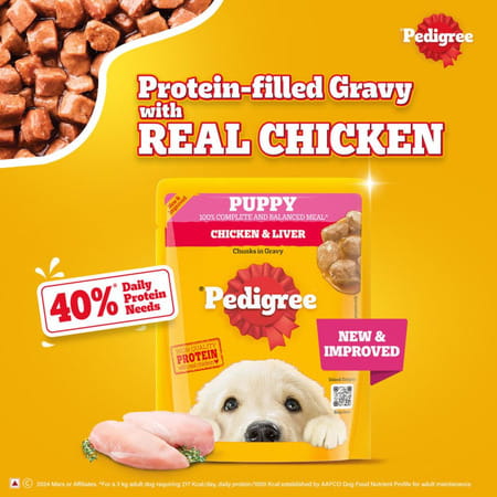 Pedigree Puppy Wet Dog Food | Chicken Chunks In Gravy | 70 G (Pack Of 90)