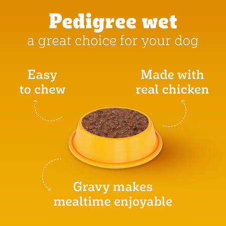 Pedigree Puppy Wet Dog Food | Chicken Chunks In Gravy | 70 G (Pack Of 90)