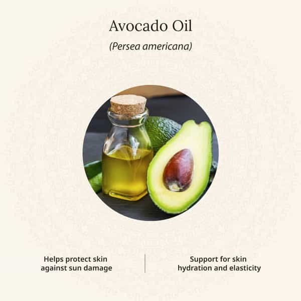 Amarantha Avocado & Walnut Face Scrub (Pack Of 2)