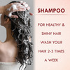 Onion Anti-Hair Fall Shampoo | Intense Repair Shampoo | Silky & Shiny Hair 100% Ayurvedic (200 Ml)
