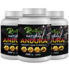 Riffway Natural Andura Weight Gain Powder (3X200gm)