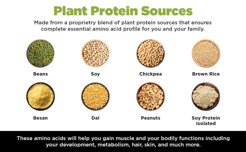 Buy PROTEIN CHEF PRO PROTEIN POWDER FOR COOKING 1KG Online & Get Upto