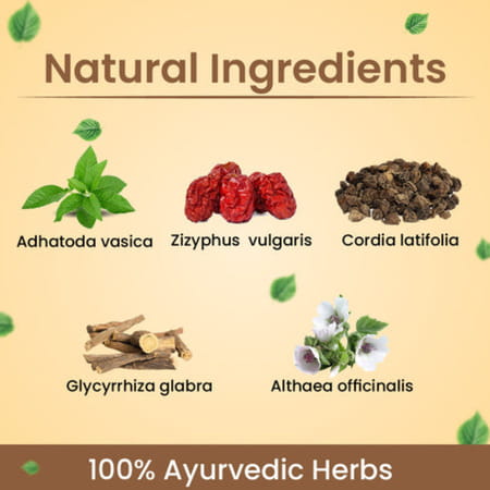 Cipzer Sharbat Arzani 200ml | Supports Digestive & Respiratory Health