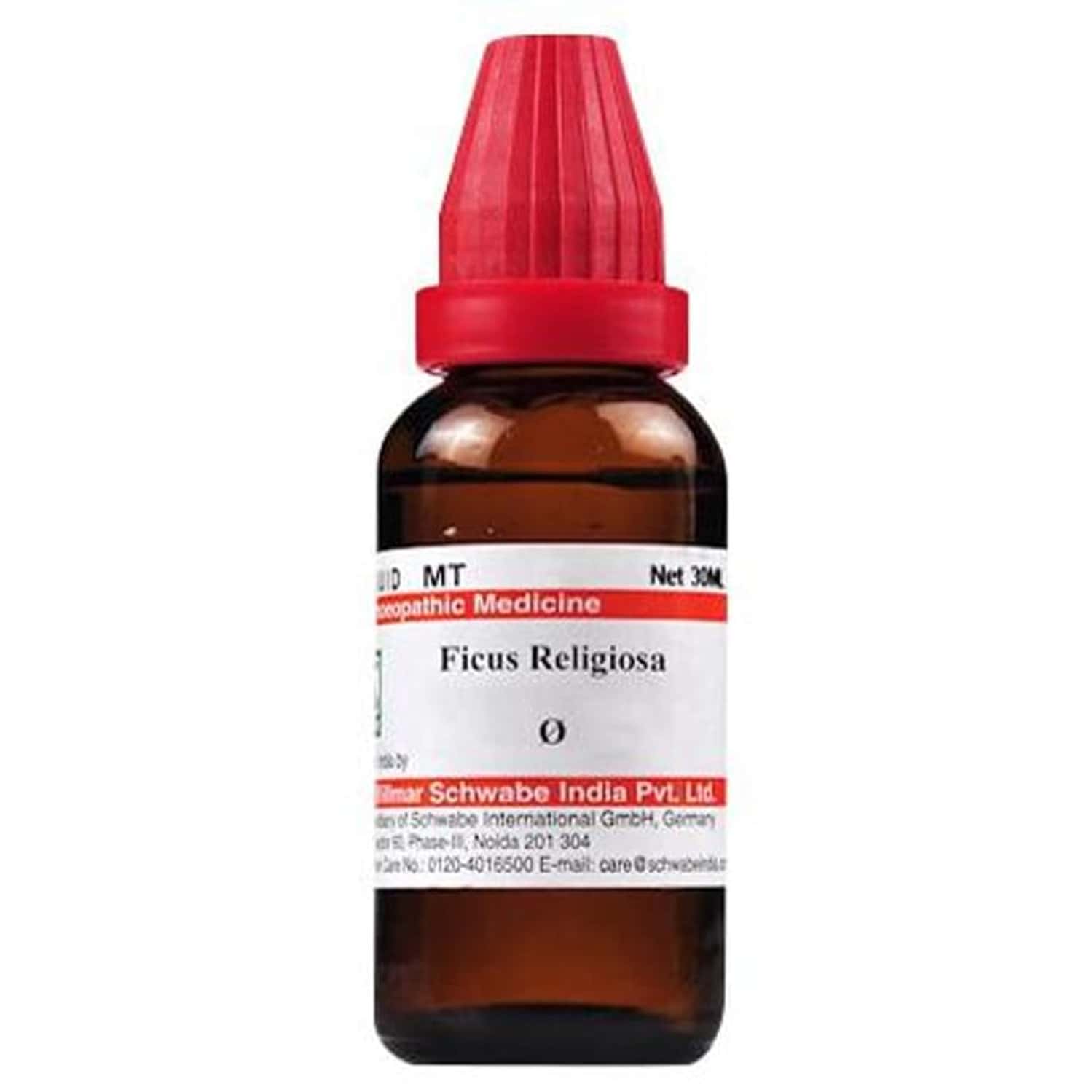 Dr. Willmar Schwabe India Ficus Religiosa Mother Tincture Q 30 Ml