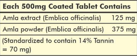 Herbal Hills Amla 120 Tablets (Pack Of 2)