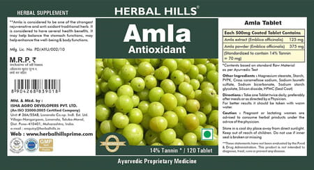 Herbal Hills Amla 120 Tablets (Pack Of 2)