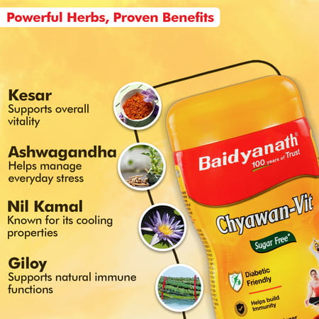 Baidyanath Sugarfree Chyawan Vit- Specially Formulated Chyawanprash With No Added Sugar