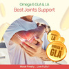 Bliss Welness Penta Omega Advanced Formula For Heart Brain Skin & Joints & Metabolism 60 Softgels